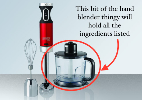 a picture of the kind of hand blender attachement I mean - which is the fat squat bit you attach to the handle.